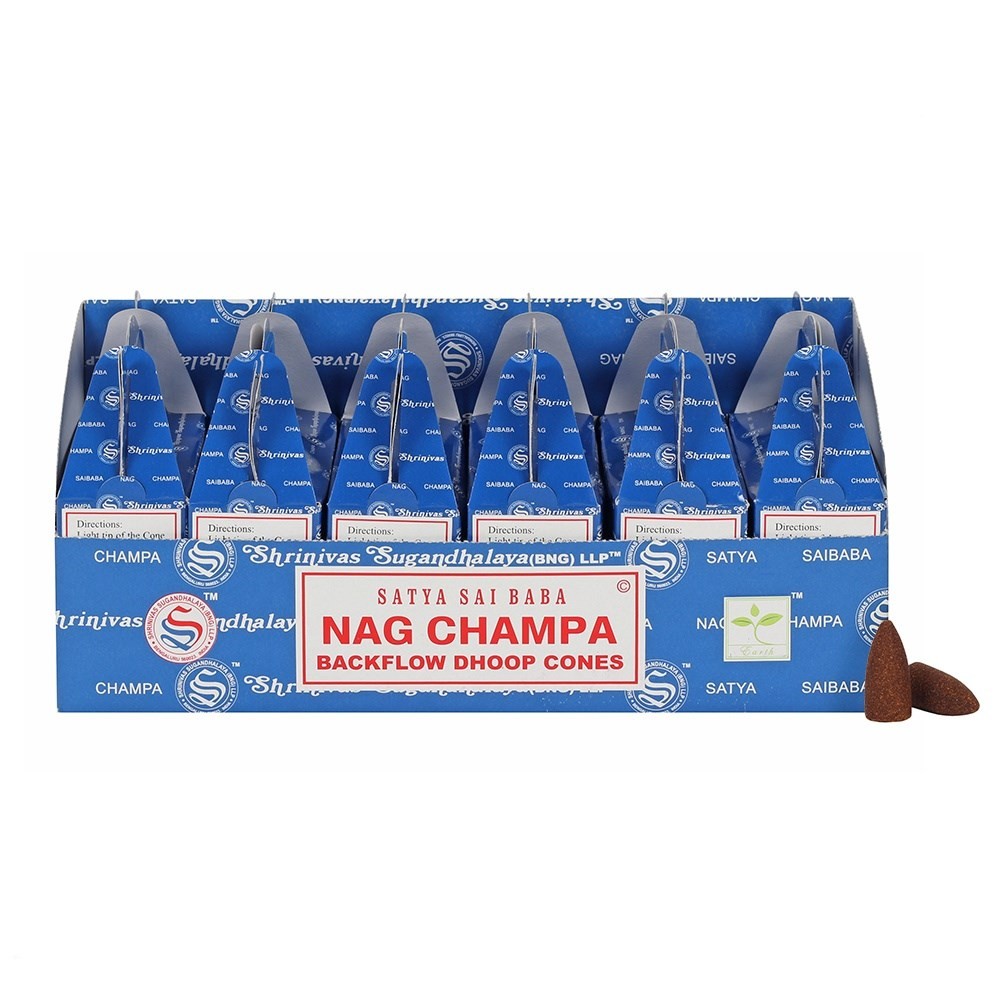 Dišeči stožci Satya Nag Champa - slika 2